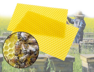 Honey Hive Garden Equipment Tool